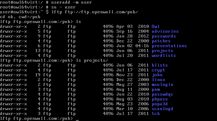 Networking from an OpenVZ container