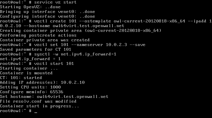 Starting the OpenVZ service and the first OpenVZ container