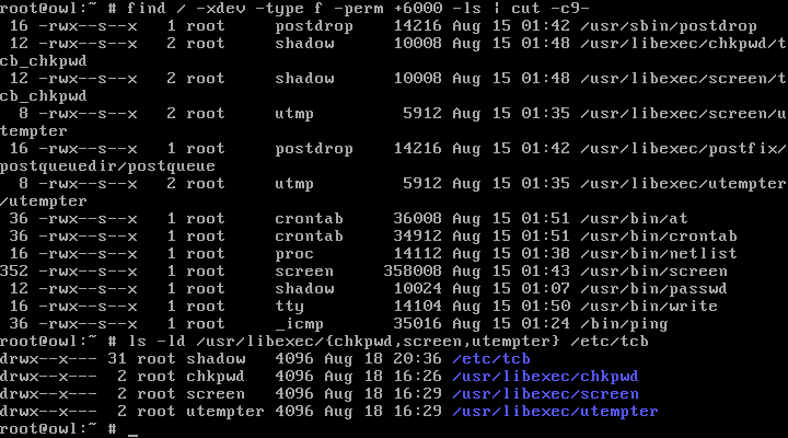 There are no SUID programs on Owl; there are only some SGIDs