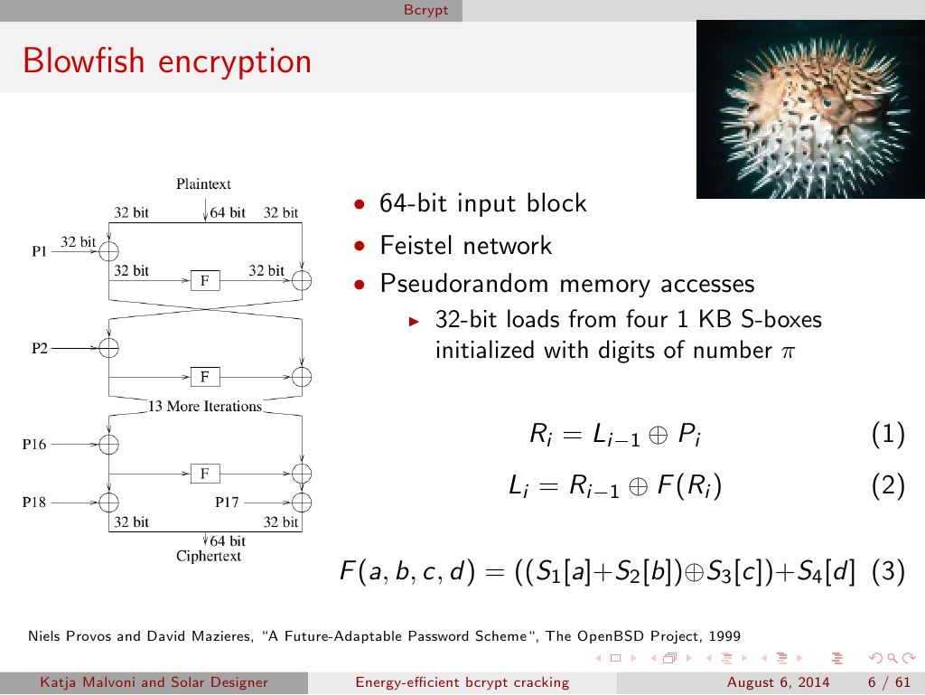 Slide 6